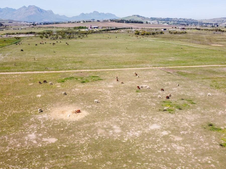 To Let 3 Bedroom Property for Rent in Stellenbosch Farms Western Cape